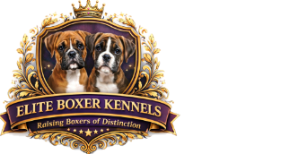 Your Brand Name Logo